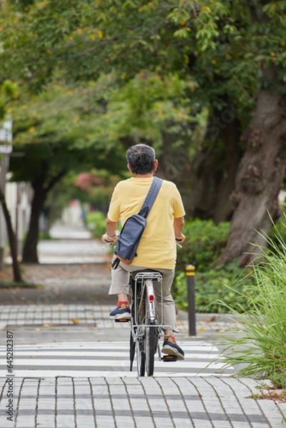 Fototapeta 夏の昼の住宅街で自転車を乗っているシニア男性の後姿
