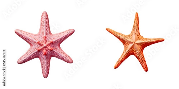 Fototapeta Isolated starfish on a transparent background