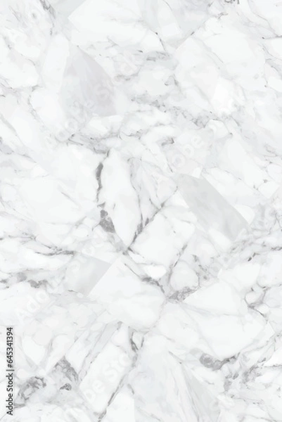 Obraz White vector marble texture for tile wallpaper, luxurious background.
