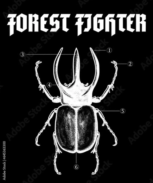 Obraz FOREST FIGHTER BEETLE ILLUSTRATION DESIGN