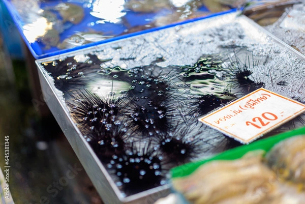 Fototapeta Exquisite Uni Delights: Live Thai Sea Urchins in Water Tray at Seafood Market, ready for sale 120 baht per kilogram