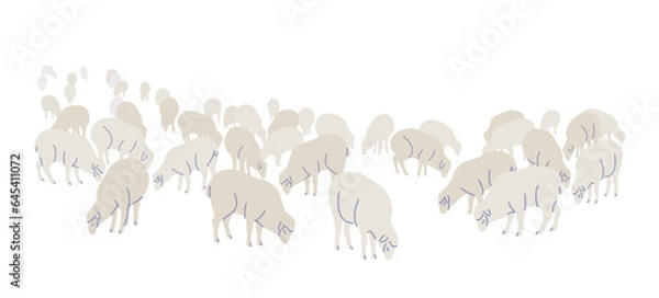 Fototapeta Farm Sheep Flock Isolated  on White