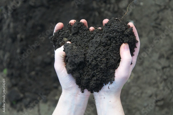 Obraz Hand holding soil