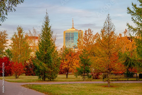 Fototapeta Алое поле