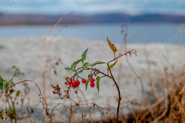 Fototapeta Аргази