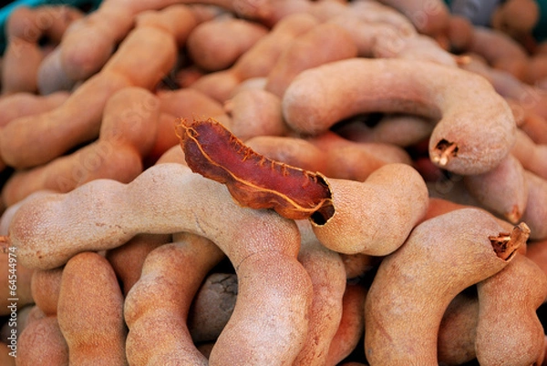 Obraz Tamarind