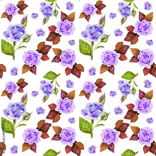 Fototapeta seamless pattern with hand draw roses