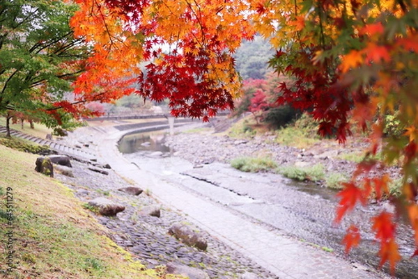 Fototapeta 美しい紅葉と川のある風景