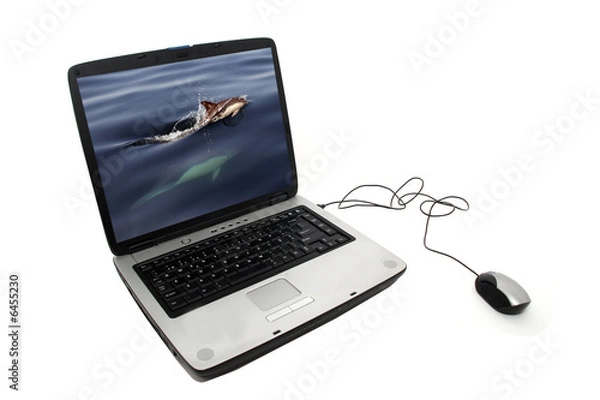 Obraz portable pc