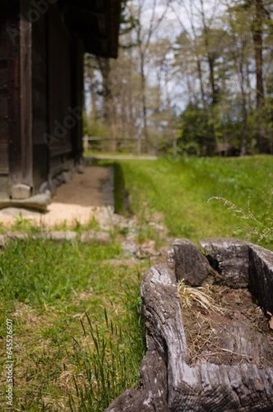Fototapeta 魅惑の夏の京都 宵山 祇園祭