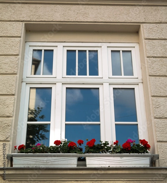 Obraz window