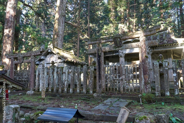 Fototapeta 世界遺産高野山の奥の院