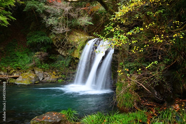 Obraz 初景滝　静岡県賀茂郡河津町