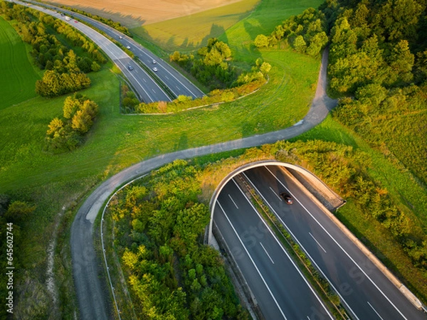 Fototapeta Aerial view of a green overpass over almost empty highway.