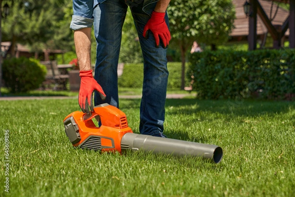 Fototapeta Modern leaf blower, powerful equipment for cleaning up leaf litters lying on lawn. Crop view of strong male hand in glove reaching vacuum cleaner on turf in the autumn park. Concept of seasonal work.