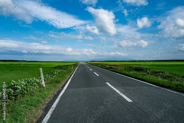 Obraz どこまでも続く直線道路エヌサカ線