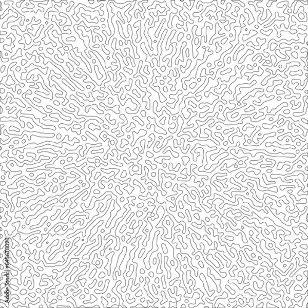 Fototapeta turing reaction diffusion monochrome seamless pattern with chaotic motion. Natural background with organic structures. Vector illustration of chemical morphogenesis concept. Vector Formats