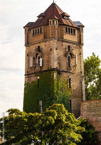 Obraz old castle tower Arad