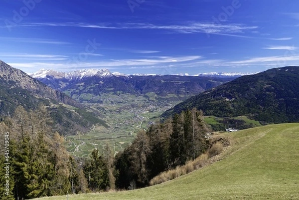 Fototapeta Meran - Texel