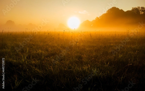 Obraz Sunrise and mist