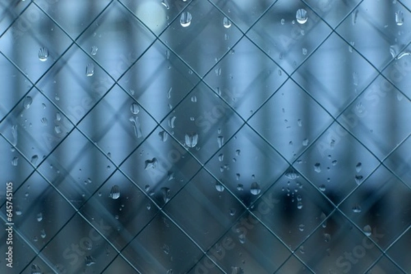 Obraz rain drops on the window