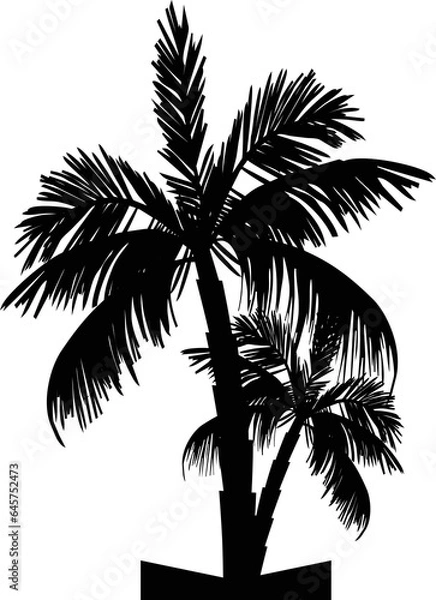 Fototapeta coconut tree