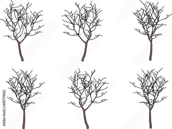 Fototapeta Vector sketch illustration design of a shady tree with many branches without leaves in autumn