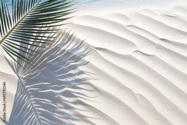 Fototapeta Palm leaf shadow on abstract white sand beach background, sun lights on water surface, beautiful abstract background concept banner for summer vacation at the beach