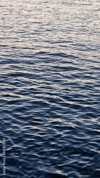 Fototapeta A majestic bird soars gracefully over the sparkling blue water, its wings spread wide..