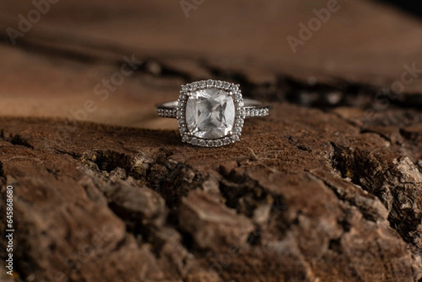 Obraz Big Ring on Wood