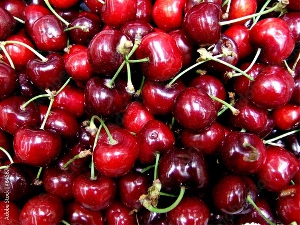 Obraz Sezon wiśniowy