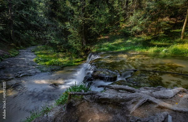 Fototapeta Nad Tanwia Nature Reserve, The gorge of the Tanew River,  Sopot River, Roztoczanski National Park,  Beautiful Polish landscapes, tourist trails in Poland