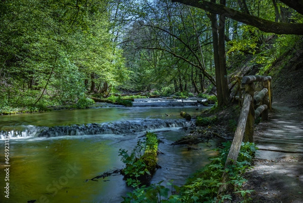 Obraz Nad Tanwia Nature Reserve, The gorge of the Tanew River,  Sopot River, Roztoczanski National Park,  Beautiful Polish landscapes, tourist trails in Poland