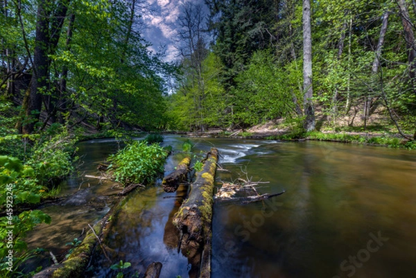 Fototapeta Nad Tanwia Nature Reserve, The gorge of the Tanew River,  Sopot River, Roztoczanski National Park,  Beautiful Polish landscapes, tourist trails in Poland