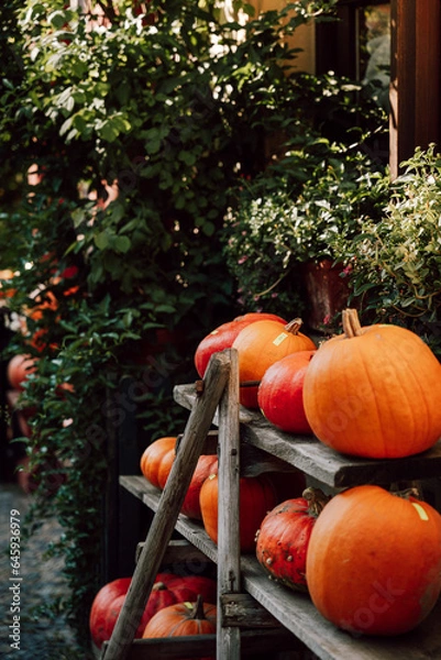 Obraz Kürbis Verkaufsstand