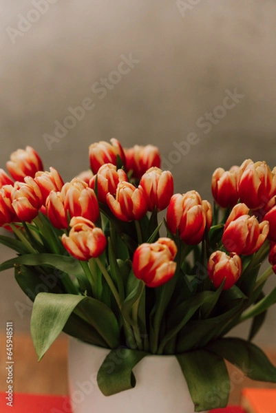 Obraz Tulpen Strauß