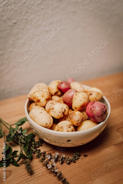 Obraz Kartoffelernte