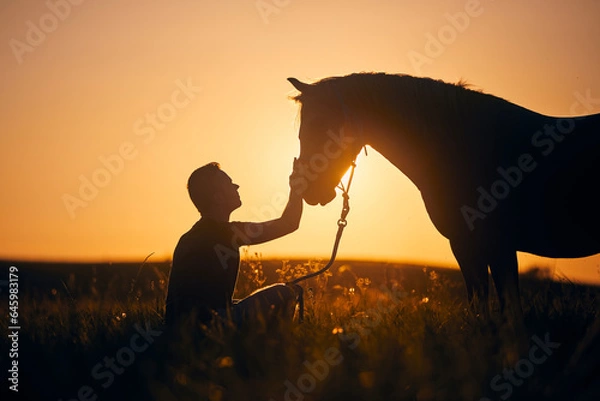 Obraz Silhousette of man while stroking of therapy horse on meadow at sunset. Themes hippotherapy, care and friendship between people and animals..