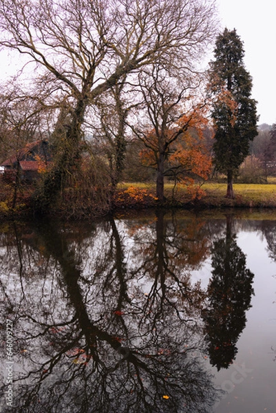 Obraz Reflection of trees in a pond with the colors of the autumn season.