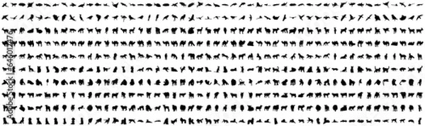 Fototapeta Animal set