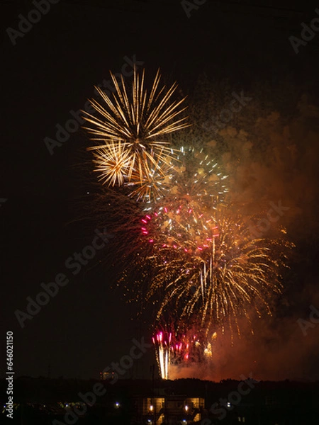 Obraz 夏の終わりの花火大会
