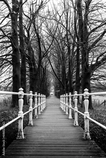 Obraz Old pedestrian bridge with cast iron railing on an estate and a tree-lined avenue in black and white.