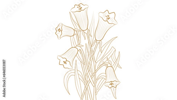 Obraz Botanical golden tulip Flower design, Golden Linear floral Flower. Vector Gold luxury line Flower. Hand drawn vector illustration in linear style, graphic clipart for wedding invitation.
