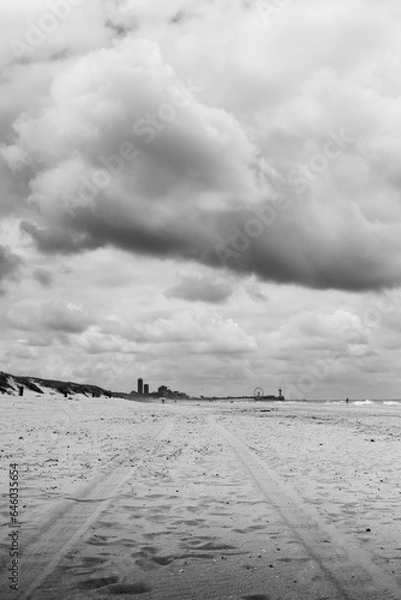 Obraz Coastline with a set of tire tracks leading your eye through the photo against a dramatic cloudy sky done in black and white.