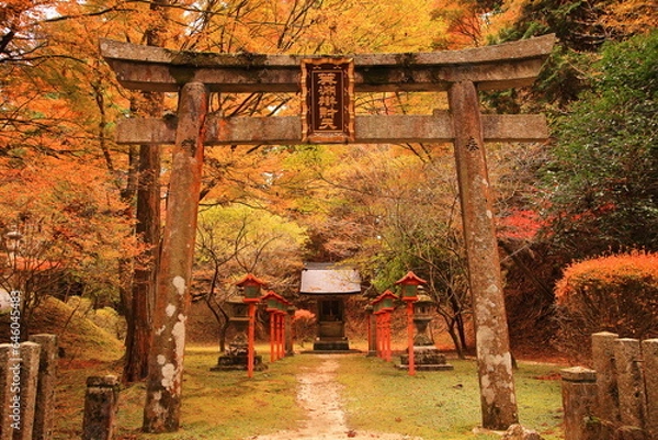 Obraz 比叡山延暦寺西塔の紅葉