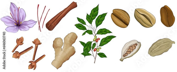 Obraz hand drawn Arabian coffee elements 