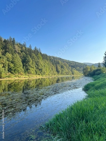 Obraz River in the mountains with wooded banks