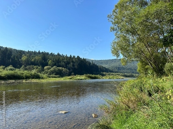 Obraz river in the forest
