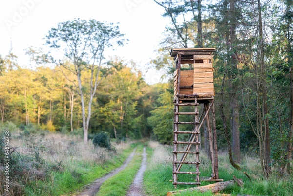 Obraz Hochsitz im Wald