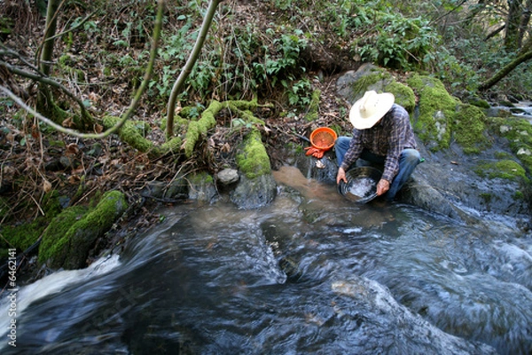 Obraz gold,miner